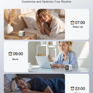 Erlyevo DeskClock Flip Timer